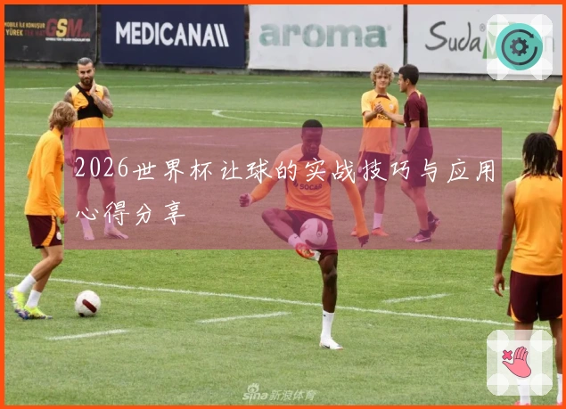 2026世界杯让球的实战技巧与应用心得分享