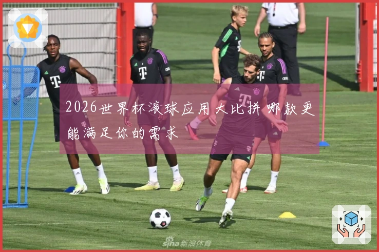 2026世界杯滚球应用大比拼 哪款更能满足你的需求