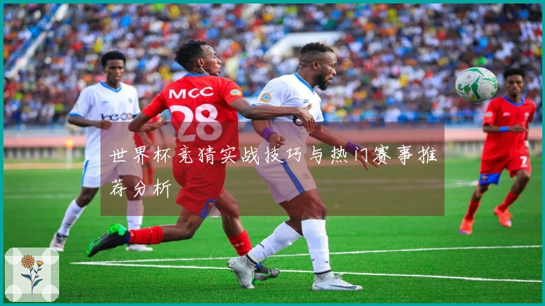 世界杯竞猜实战技巧与热门赛事推荐分析