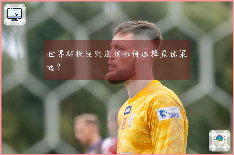世界杯投注到底该如何选择最优策略？