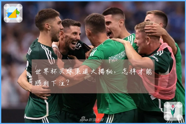 世界杯买球渠道大揭秘，怎样才能顺利下注？