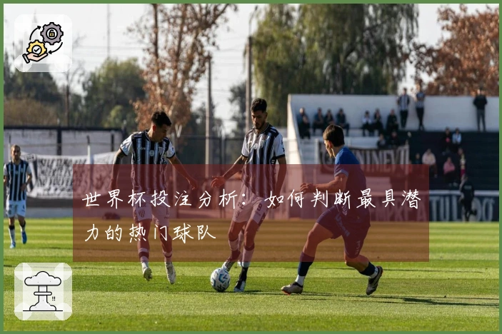 世界杯投注分析：如何判断最具潜力的热门球队