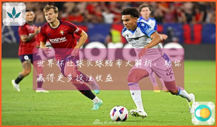 世界杯让球买球赔率大解析，助你赢得更多投注收益